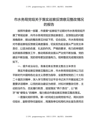 市水务局党组关于落实巡察反馈意见整改情况的报告