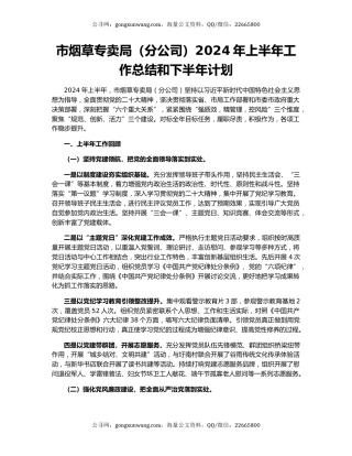 市烟草专卖局（分公司）2024年上半年工作总结和下半年计划