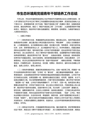 市生态环境局党组青年干部培养工作总结