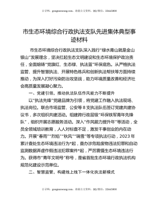 市生态环境综合行政执法支队先进集体典型事迹材料