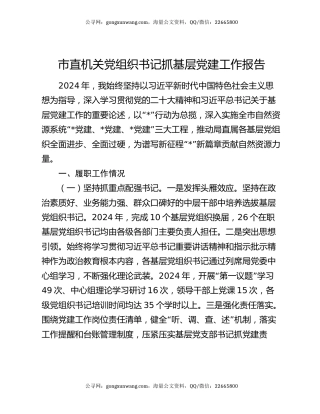 市直机关党组织书记抓基层党建工作报告