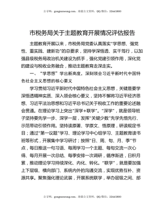 市税务局关于主题教育开展情况评估报告