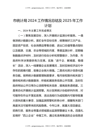 市统计局2024工作情况总结及2025年工作计划