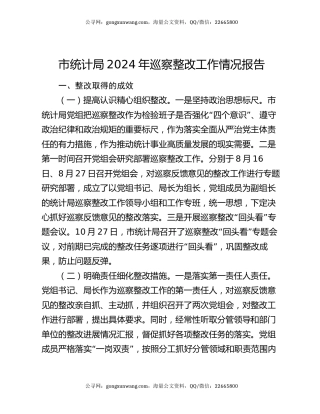 市统计局2024年巡察整改工作情况报告