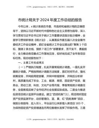 市统计局关于2024年度工作总结的报告