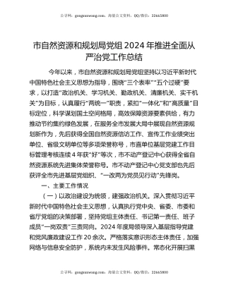 市自然资源和规划局党组2024年推进全面从严治党工作总结