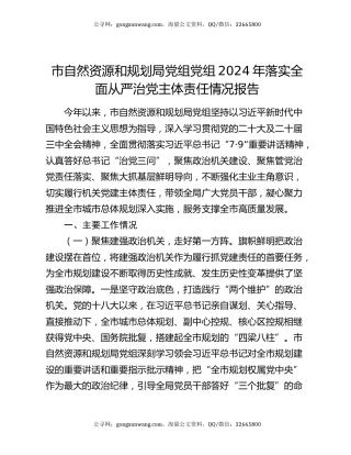 市自然资源和规划局党组党组2024年落实全面从严治党主体责任情况报告