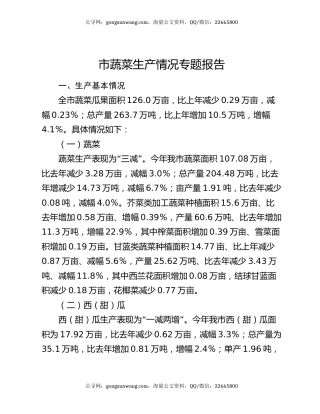 市蔬菜生产情况专题报告