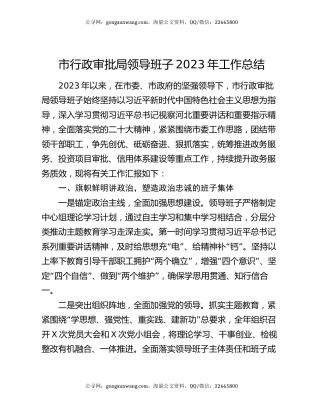 市行政审批局领导班子2023年工作总结