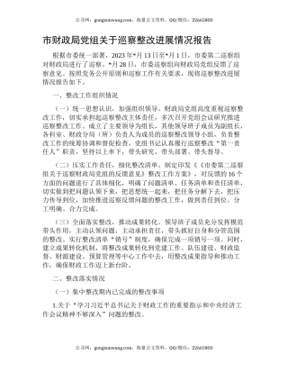 市财政局党组关于巡察整改进展情况报告