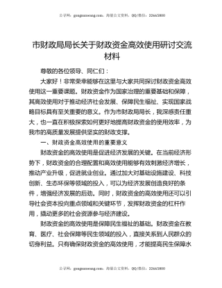 市财政局局长关于财政资金高效使用研讨交流材料