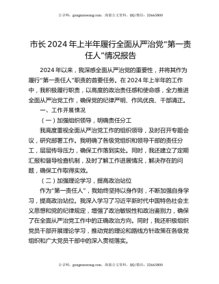 市长2024年上半年履行全面从严治党“第一责任人”情况报告