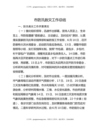 市防汛救灾工作总结