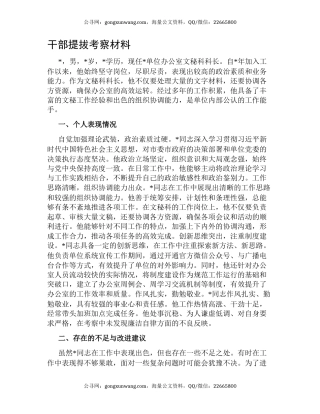 干部提拔考察材料（2）