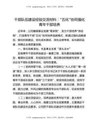干部队伍建设经验交流材料：“五化”协同强化青年干部培养