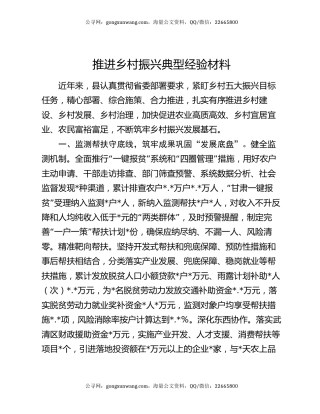 推进乡村振兴典型经验材料