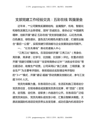 支部党建工作经验交流：五彩在线 筑强堡垒