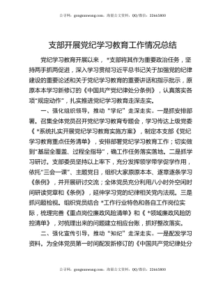 支部开展党纪学习教育工作情况总结