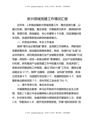 新兴领域党建工作情况汇报