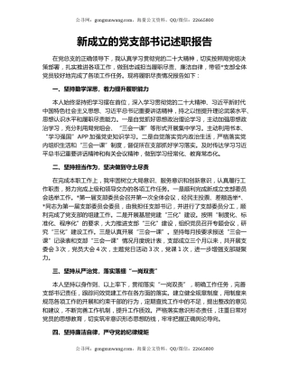 新成立的党支部书记述职报告