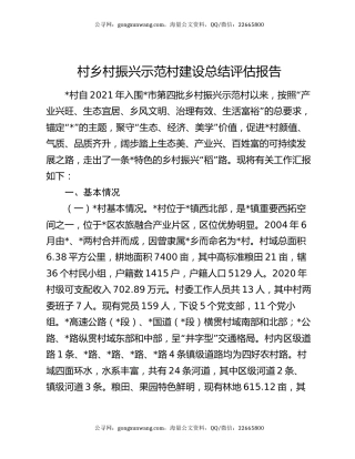 村乡村振兴示范村建设总结评估报告