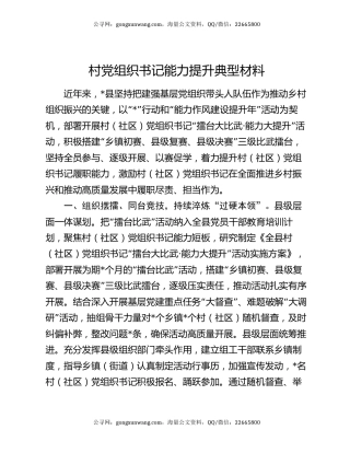 村党组织书记能力提升典型材料