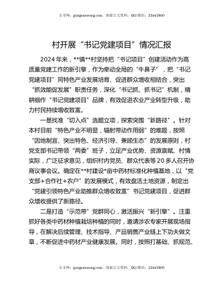 村开展“书记党建项目”情况汇报