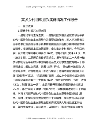 某乡乡村组织振兴实施情况工作报告