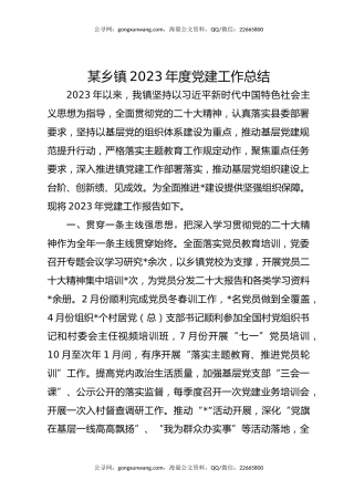 某乡镇2023年度党建工作总结