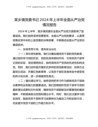 某乡镇党委书记2024年上半年全面从严治党情况报告