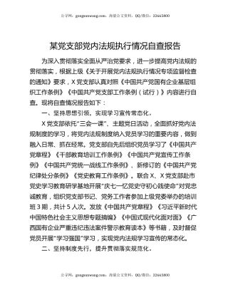 某党支部党内法规执行情况自查报告