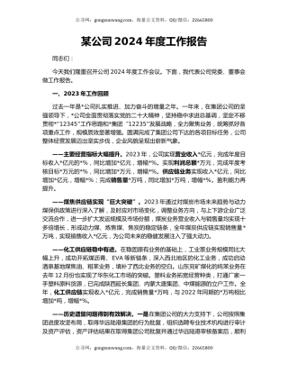 某公司2024年度工作报告