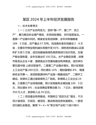 某区2024年上半年经济发展报告