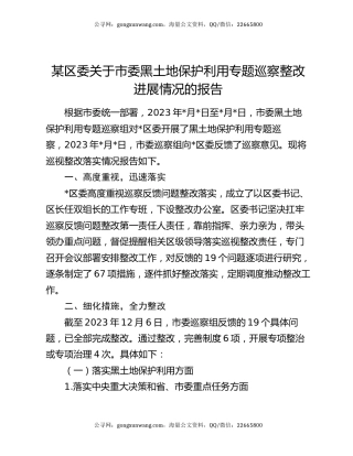 某区委关于市委黑土地保护利用专题巡察整改进展情况的报告