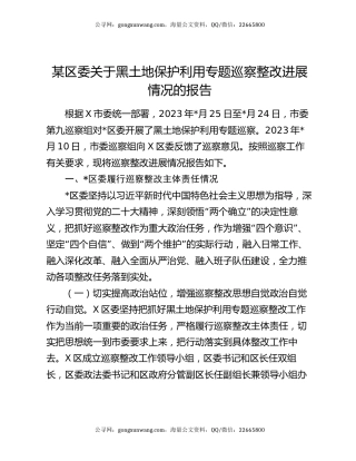 某区委关于黑土地保护利用专题巡察整改进展情况的报告