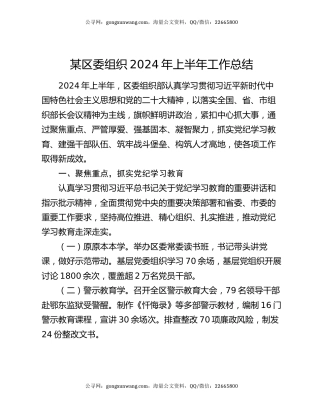 某区委组织2024年上半年工作总结