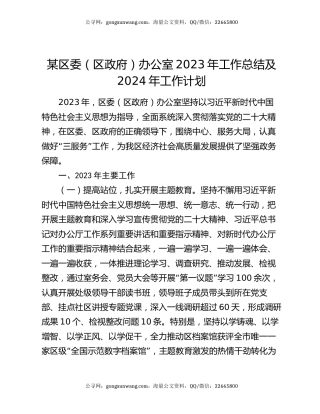 某区委（区政府）办公室2023年工作总结及2024年工作计划