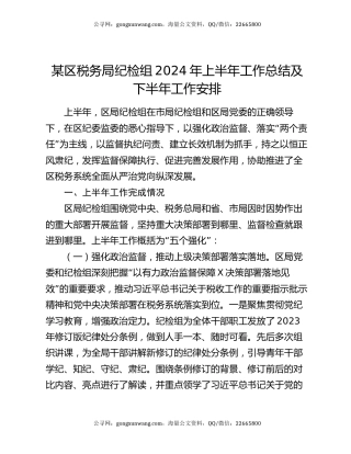 某区税务局纪检组2024年上半年工作总结及下半年工作安排