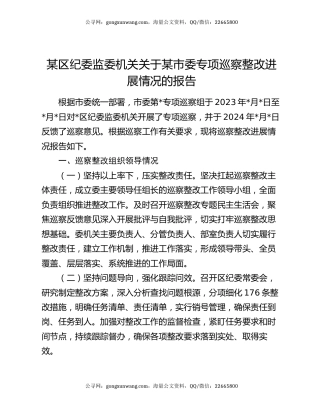 某区纪委监委机关关于某市委专项巡察整改进展情况的报告