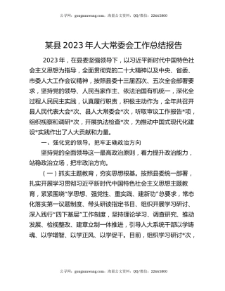 某县2023年人大常委会工作总结报告