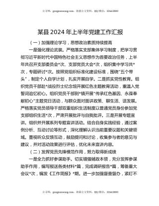 某县2024年上半年党建工作汇报