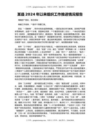 某县2024年以来组织工作推进情况报告