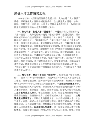 某县人才工作情况汇报