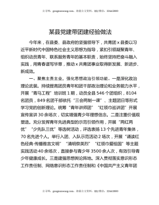 某县党建带团建经验做法