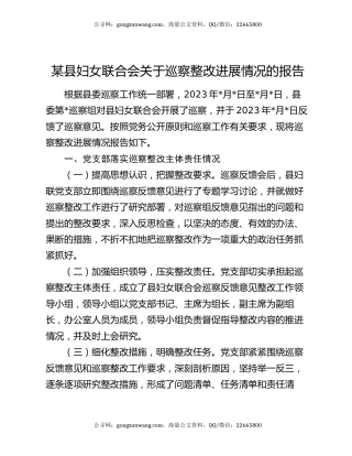 某县妇女联合会关于巡察整改进展情况的报告