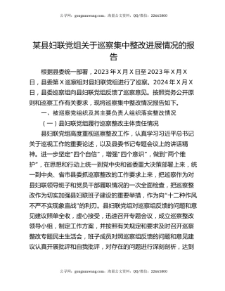 某县妇联党组关于巡察集中整改进展情况的报告