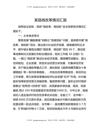 某县微改革情况汇报