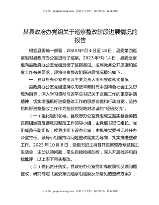 某县政府办党组关于巡察整改阶段进展情况的报告