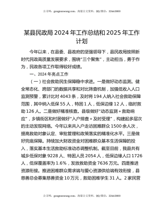 某县民政局2024年工作总结和2025年工作计划
