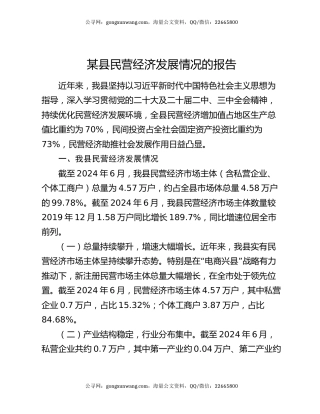 某县民营经济发展情况的报告